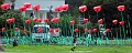 DSC03165