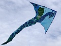 DSC03196