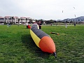 DSC03251