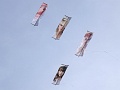 DSC03289