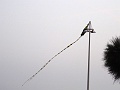 DSC03312