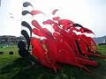 DSC03336