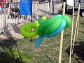 DSC03337