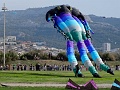DSC03411