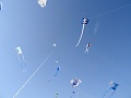 DSC03426
