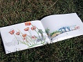DSC07385