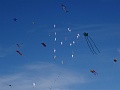 DSC07401