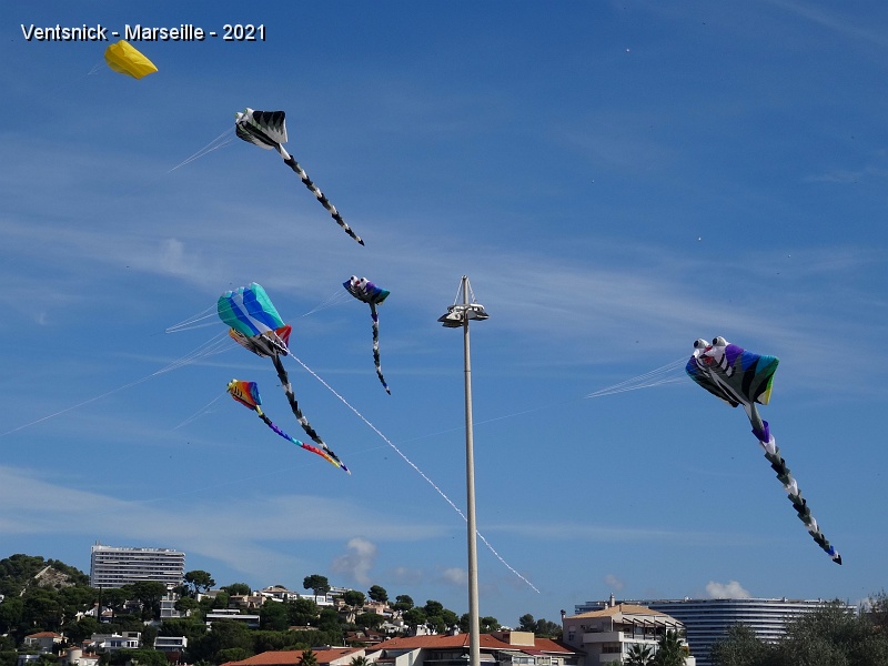 DSC07296.JPG - Le vent est extrêmement faible et pourtant quelques raies Manta colonisent peu à peu le ciel, ...