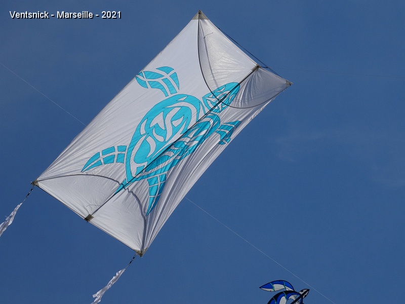 DSC07366.JPG - Décor "tortue" pour ce cerf-volant de Patrick L'Higuinen, ...