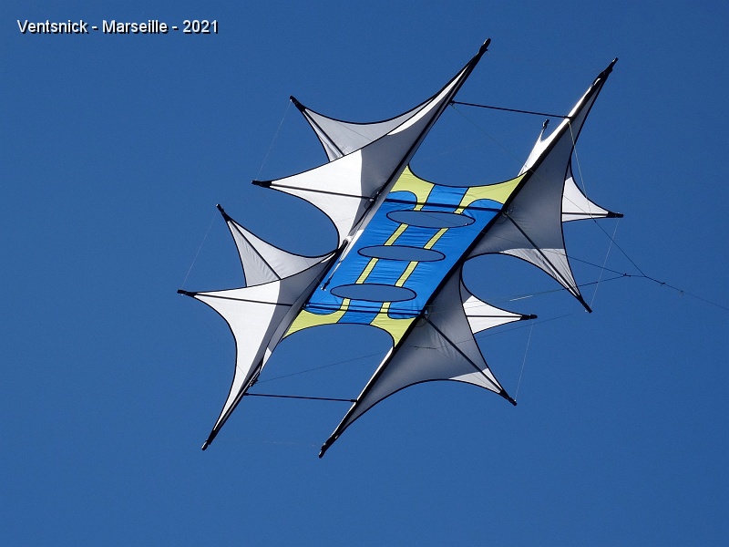DSC07468.JPG - Cet autre cerf-volant de son cru ne manque pas d'allure !