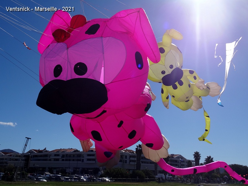 DSC07476.JPG - Voici le Marsupilami rose de Denis Getto, ...
