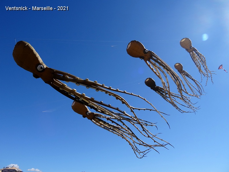 DSC07485.JPG - ... pieuvres du "Holland Kite Team", ...