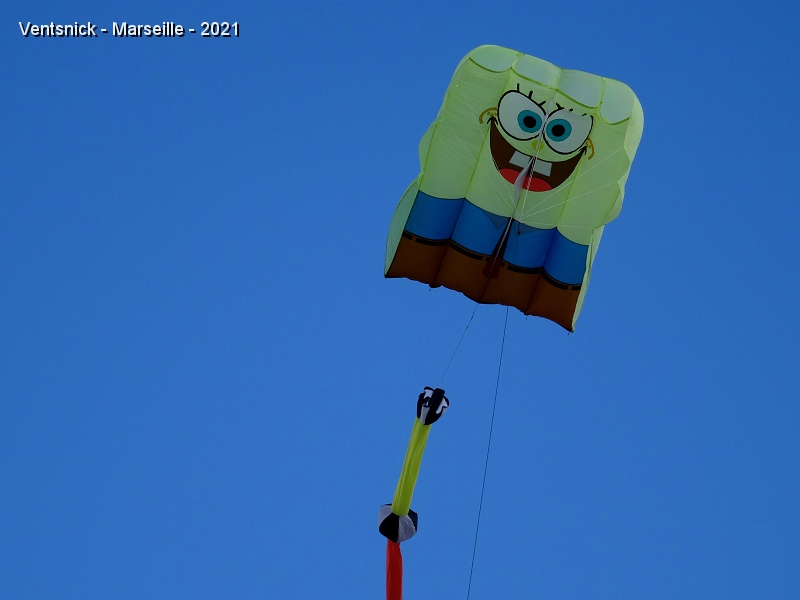 DSC07511.JPG - ... son Flowform tend vers le ciel ...