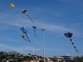 DSC07296