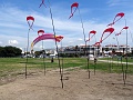 DSC07354