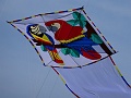 DSC07355