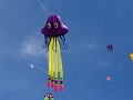 DSC07364