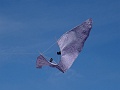 DSC07370