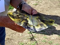 DSC07376