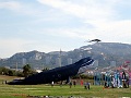 DSC07389