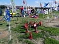 DSC07392