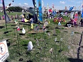 DSC07393