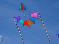 DSC07396