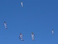 DSC07410