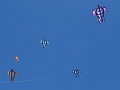 DSC07411