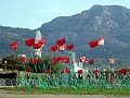 DSC07419