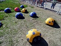 DSC07447