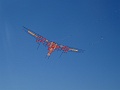 DSC07466