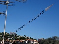 DSC07471