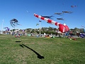 DSC07474