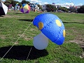 DSC07493