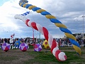 DSC07518