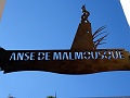 DSC07239