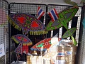 DSC00491