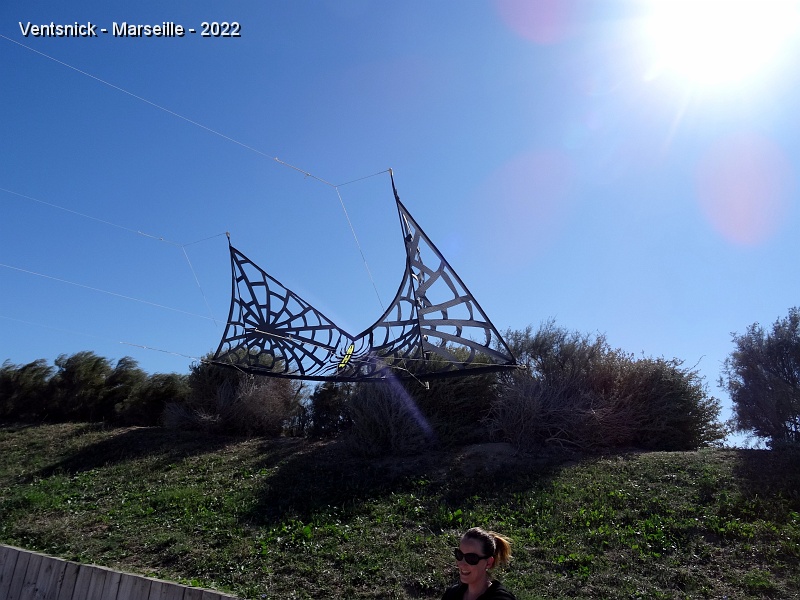 DSC00465.JPG - Un pilote de 4 lignes parvient à s'affranchir des bourrasques pour titiller le public, ...