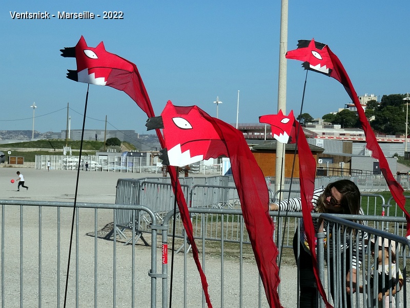 DSC00507.JPG - Renards de Steffi Rauchwarter et Georg Kollmann. Ils proposent des cerfs-volants au graphisme très personnel, ...