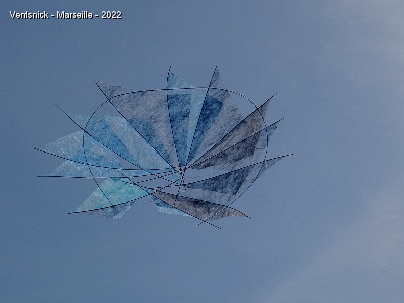 DSC00557.JPG - ... ici un autre de ses cerfs-volants, ...