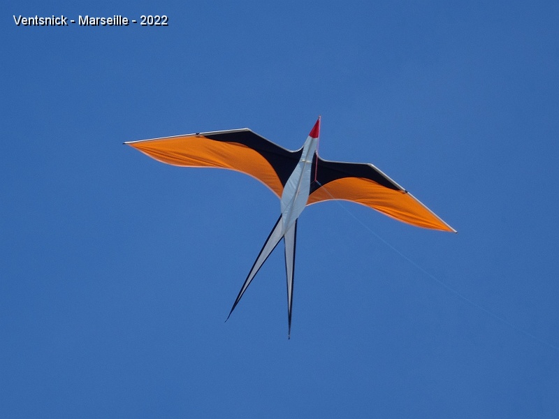 DSC00639.JPG - Oiseau d'Alain Muret ...
