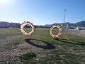 DSC00451