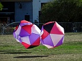 DSC00460