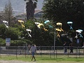 DSC00463