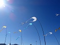 DSC00477