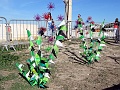DSC00502