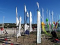 DSC00503