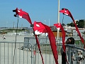 DSC00507
