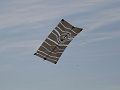 DSC00536